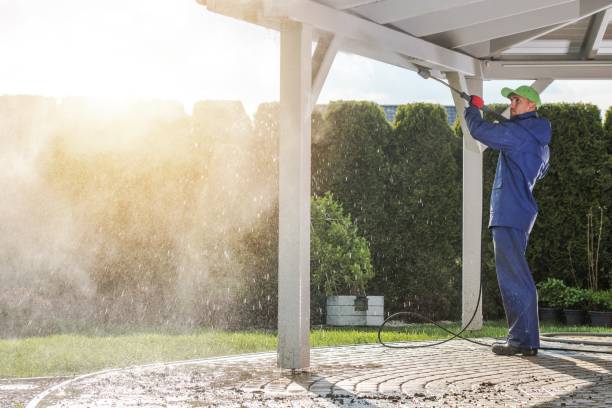 Best Driveway Cleaning and Restoration in Spring Valley, WI